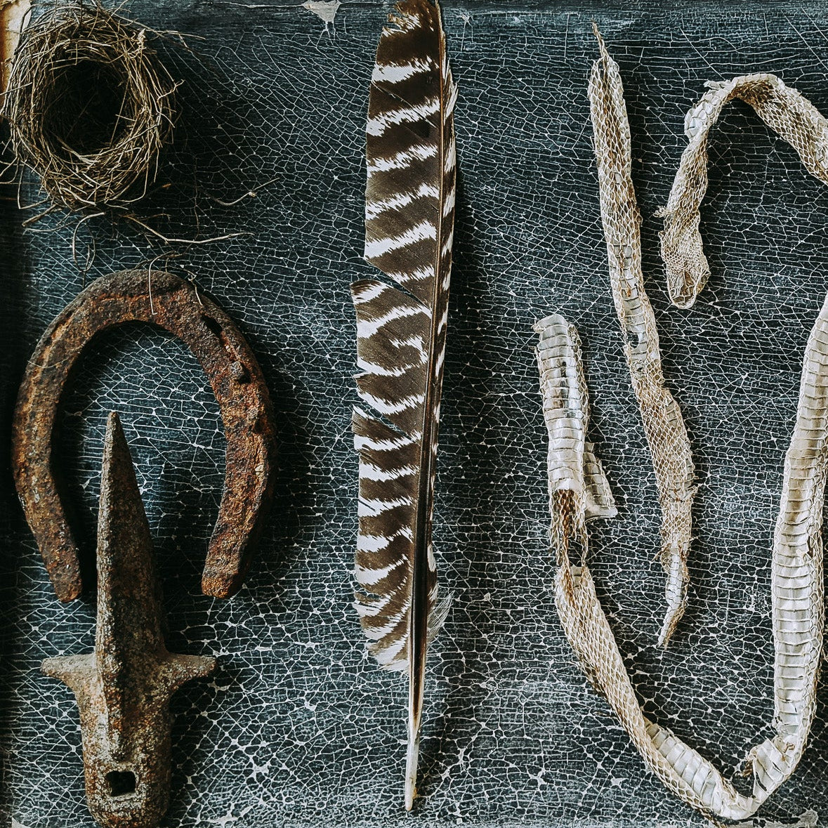 A rustic collection of vintage and rural artifacts arranged in a square wooden frame on a dark textured background. The items include a rusted metal horseshoe, a striped feather, dried animal hides, a small woven nest, a piece of copper, a white stone, and a piece of driftwood.
