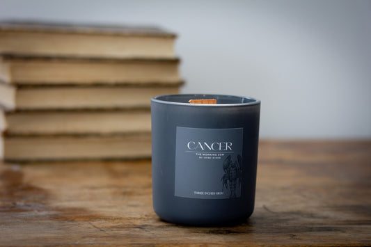 9oz Soy Wax Candle - Cancer