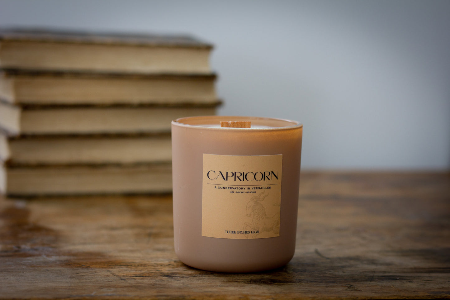 9oz Soy Wax Candle - Capricorn